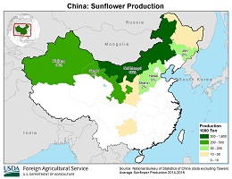 images\Ch\cropprod\China_Sunflowerseed_preview.jpg